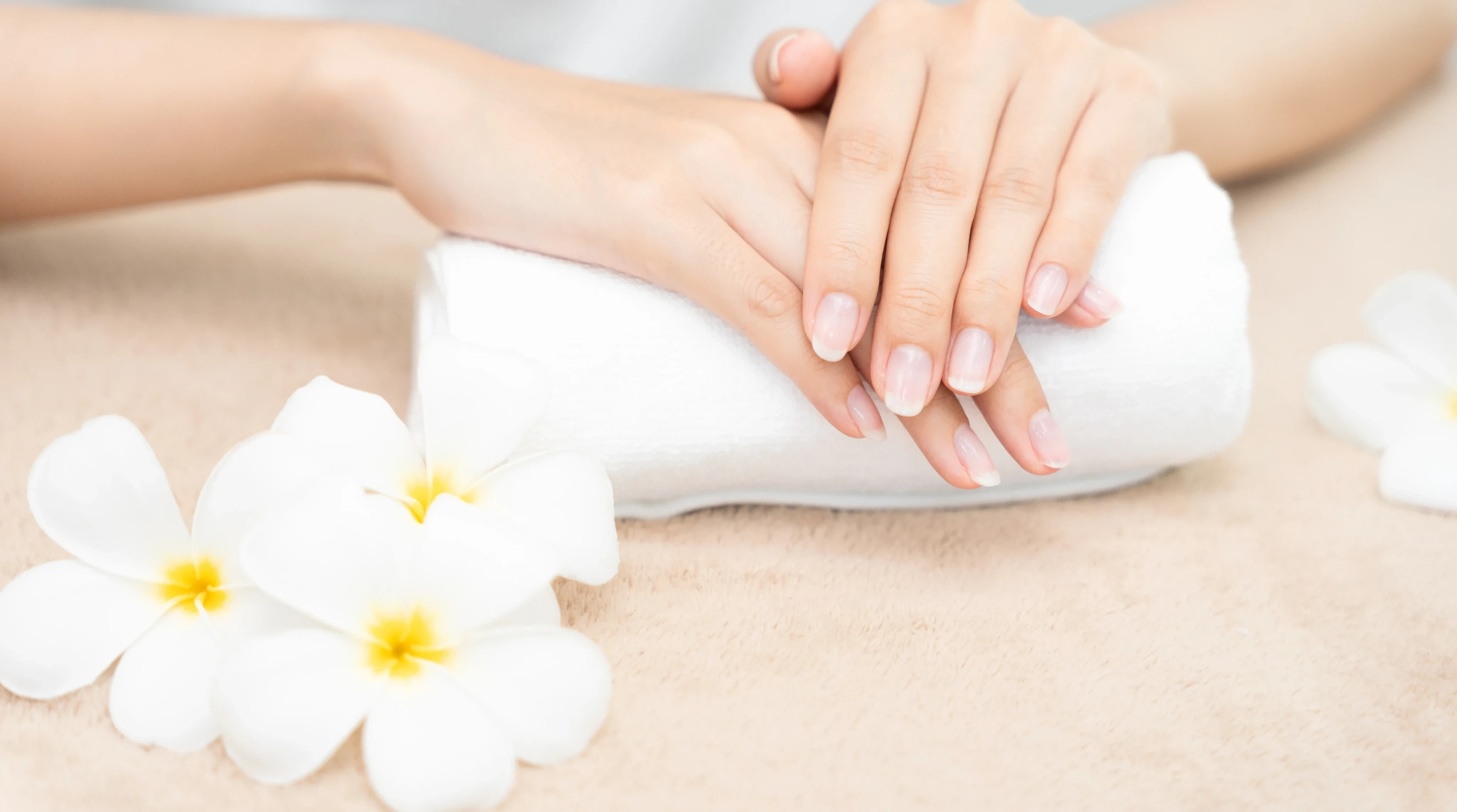 Nail services banner
